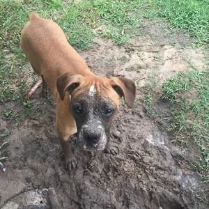 Meet your Posher, Ben